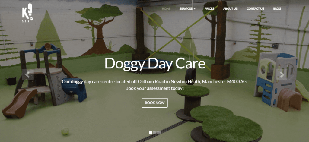 Doggy day care prices best sale near me